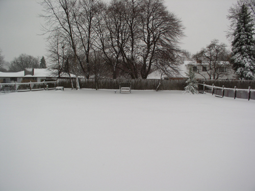 Snow Pic 9