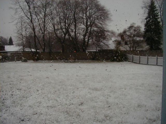 Snow Pic 2