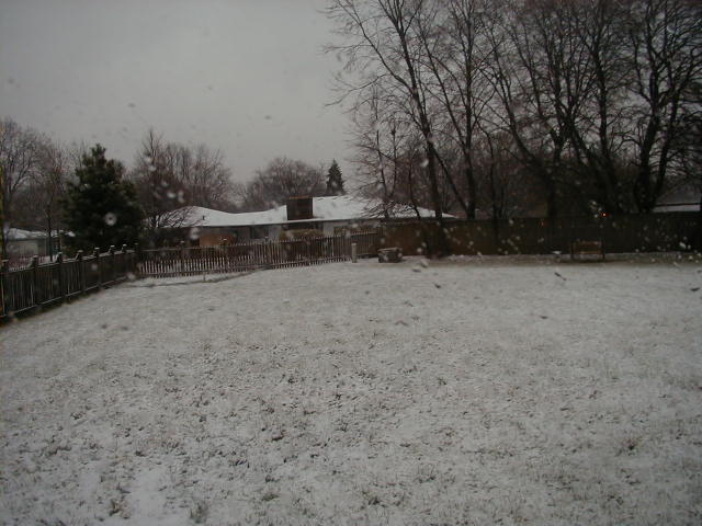 Snow Pic 3